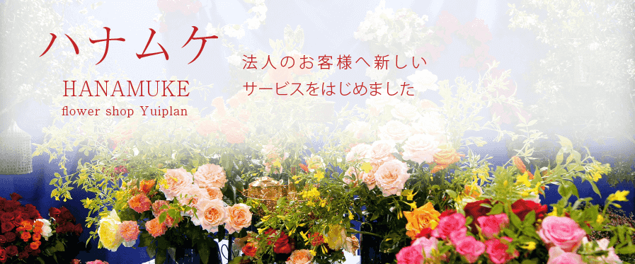 ハナムケ